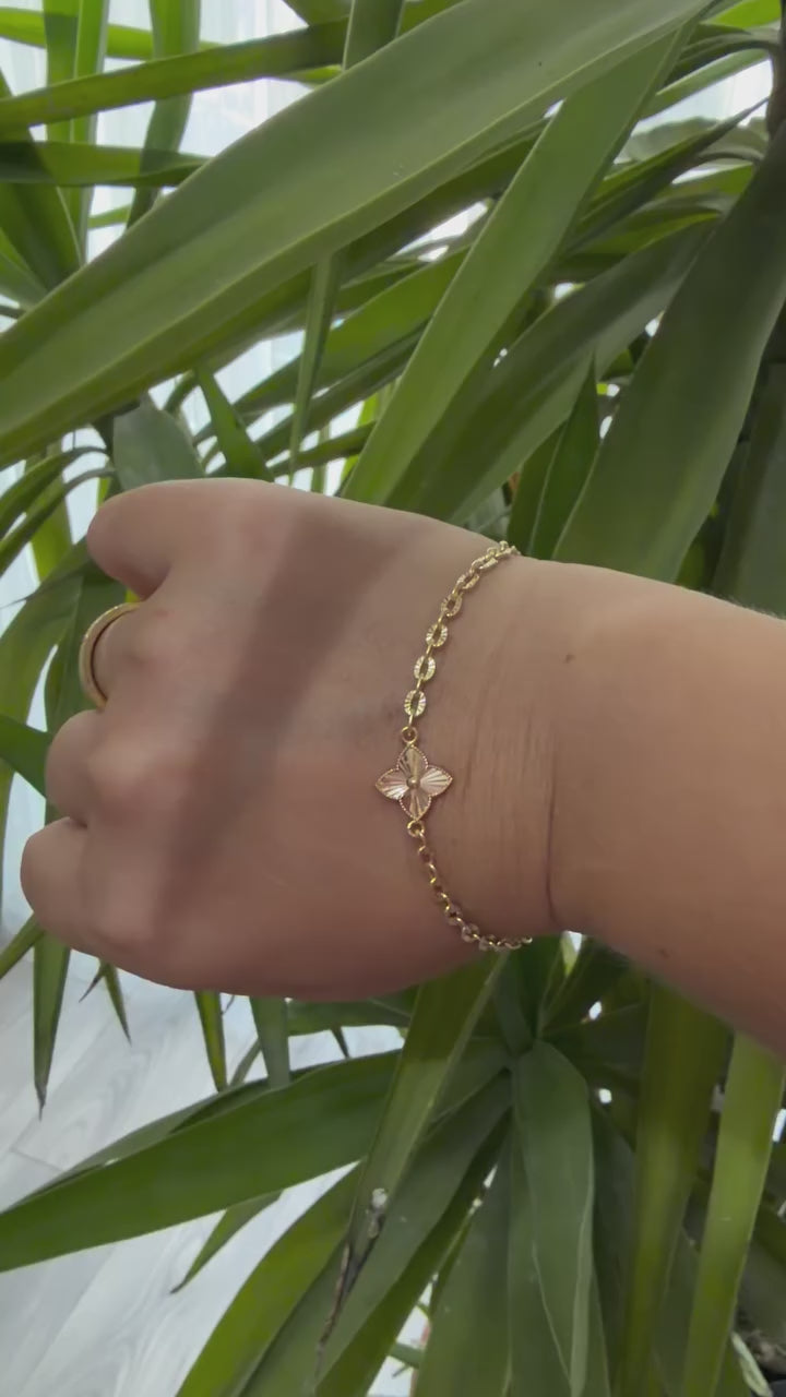 https://cdn.shopify.com/videos/c/o/v/7ff253bd5501439db45f5a0f876b32d4.mp4